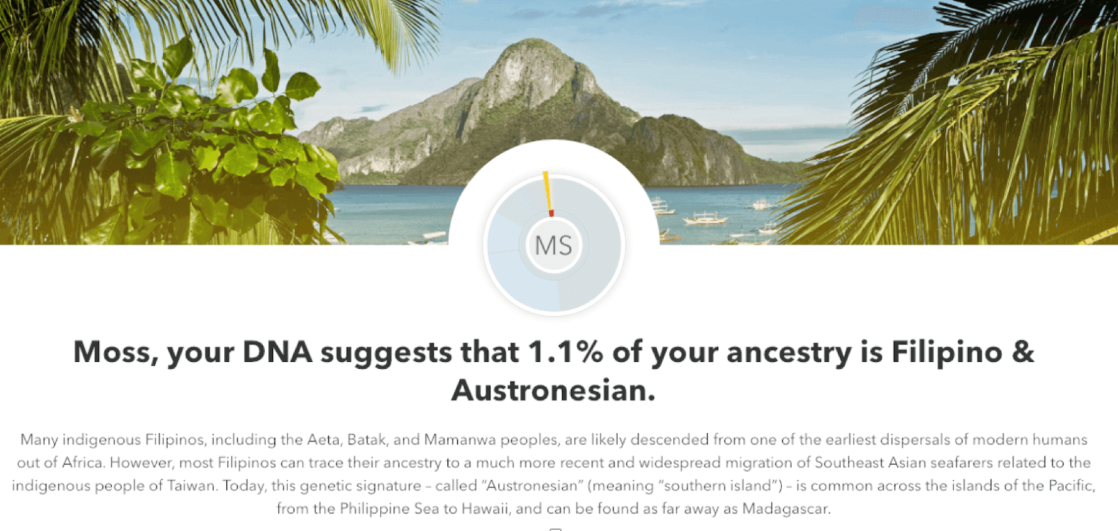 23andMe Vs AncestryDNA 2024: Which One Is Better?