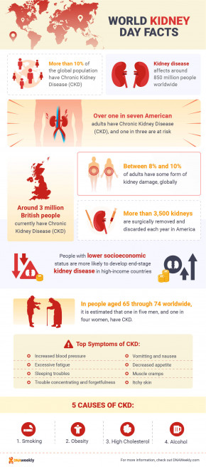 World Kidney Day 2024: What Should You Be Aware Of?