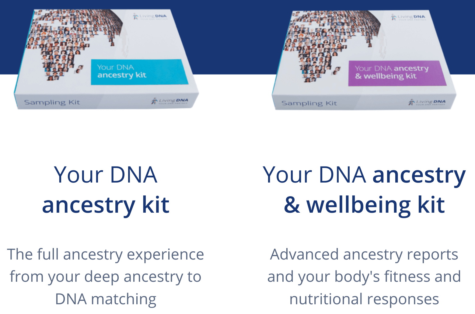 Living DNA Reviews 2023 — How Accurate Is This DNA Test?