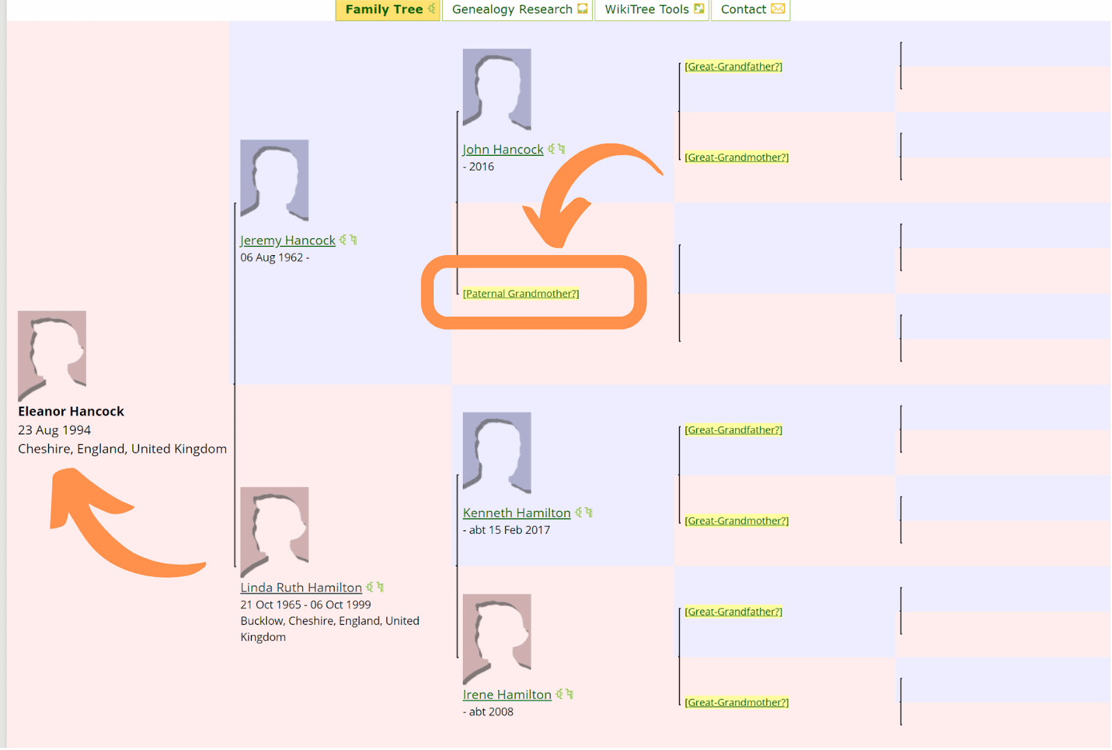 WikiTree Review 2024 – Can It Fill In The Ancestry Blanks?