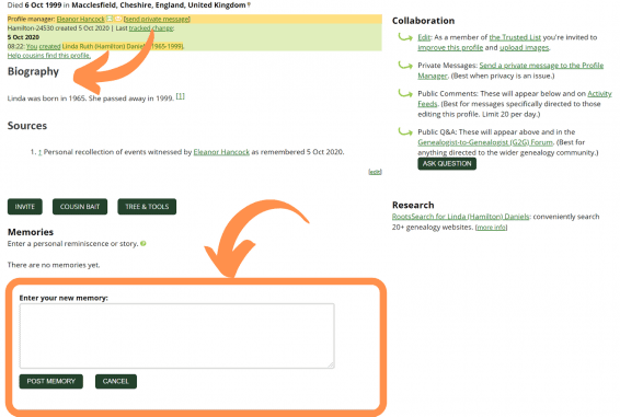 WikiTree Review 2024 – Can It Fill In The Ancestry Blanks?