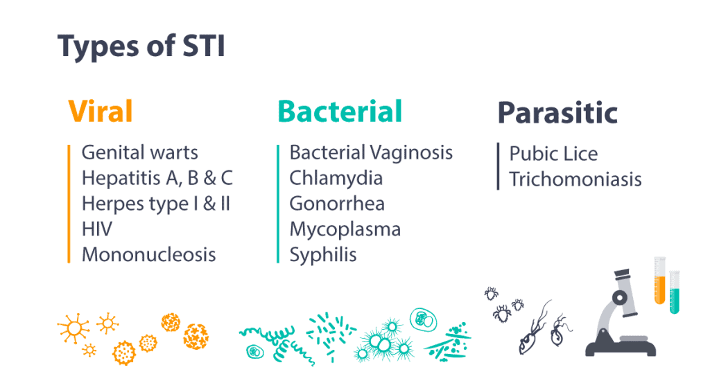 Ultimate Guide To Stis 2024 How To Spot Treat And Avoid Them