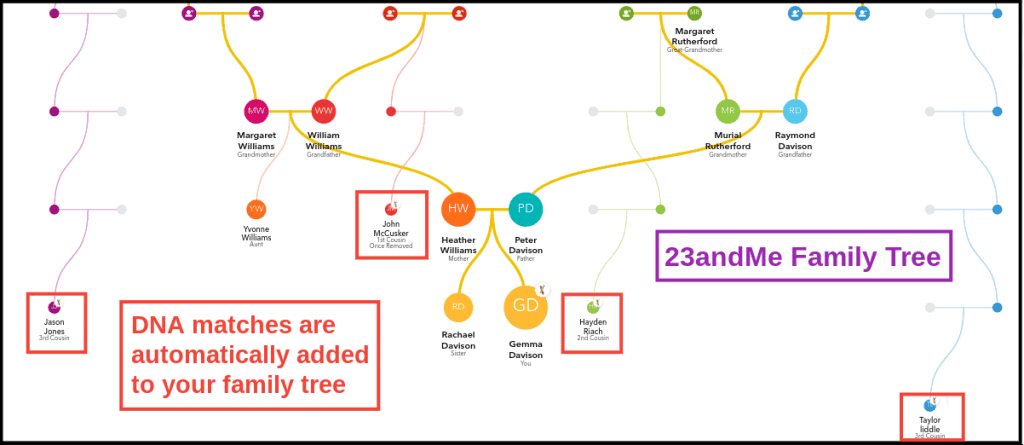 FamilyTreeDNA Vs. 23andMe 2024: Which To Choose?