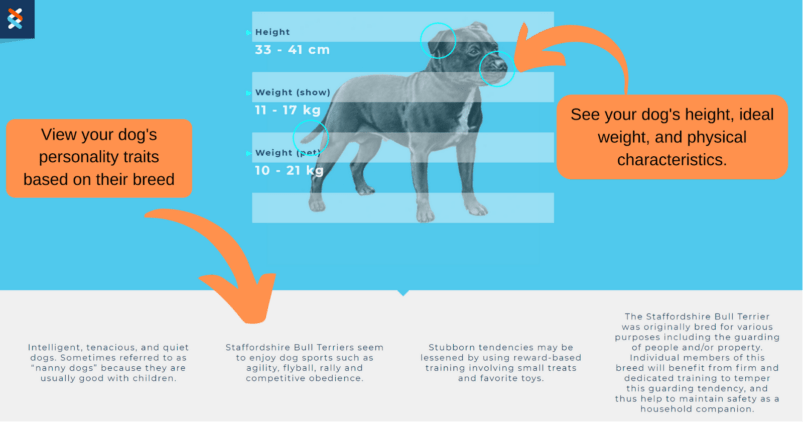 Embark vs Wisdom Panel 2024: Which Dog DNA Test is Best?